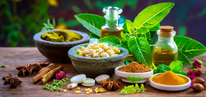 ayurvedic herbal medicine wellness oils