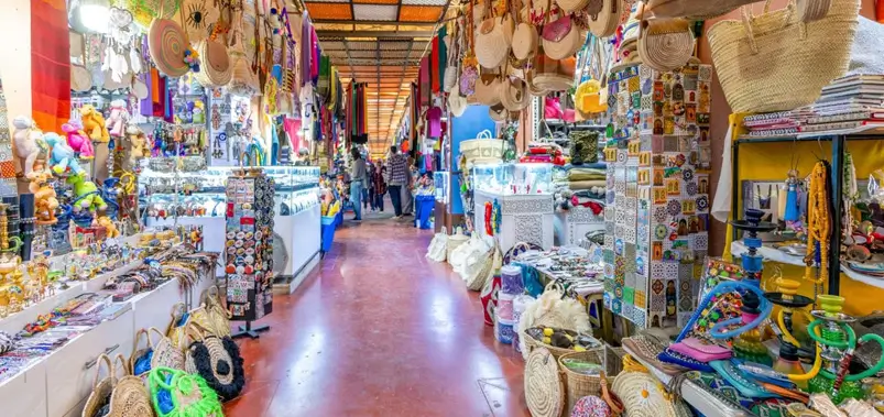 Delhi Shopping Guide