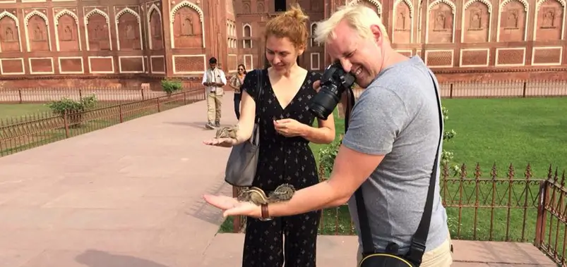Get an Instant Golden Triangle Tour Quote - How Pricing Works & What Affects Cost