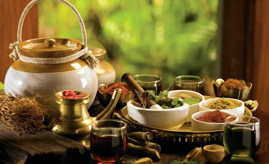Comfortable India Tour Seniors Golden Triangle Kerala Ayurveda Retreat