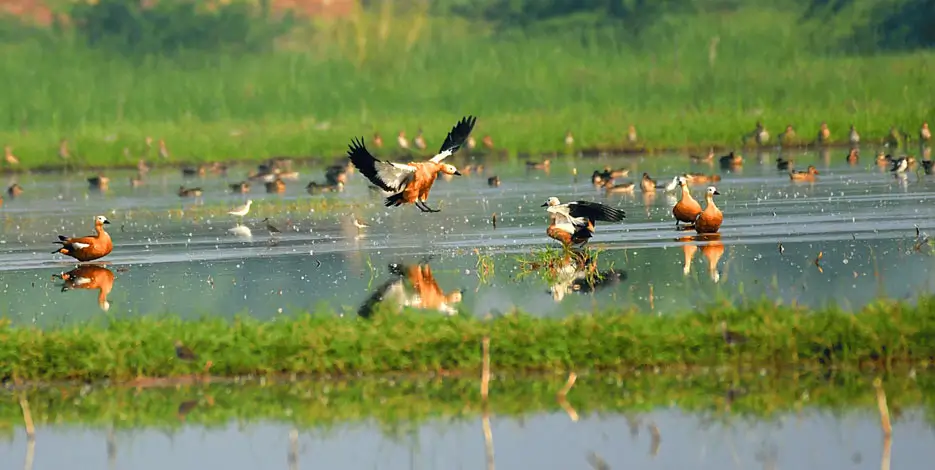 7-Day Golden Triangle Tour with Chambal & Bharatpur