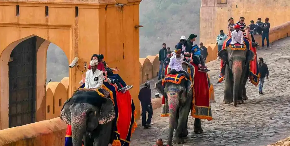 Luxury Golden Triangle Tour with Elephant Experience Jaipur