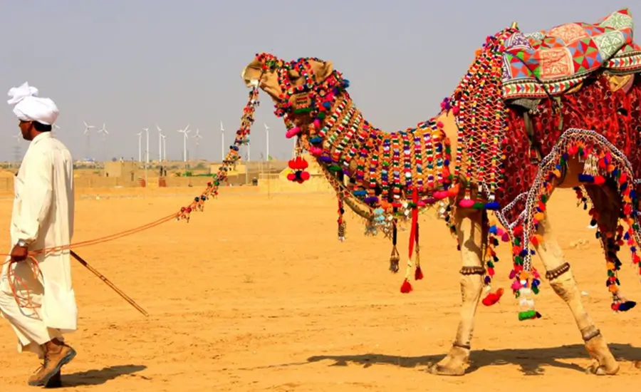 Small Group Cultural Immersion Tour India Golden Triangle