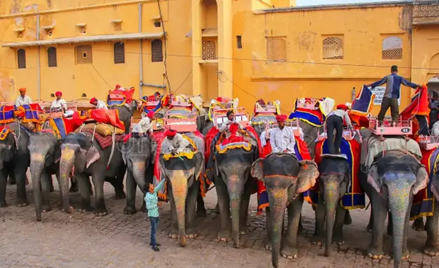 Escorted Small Group Tour India Golden Triangle with Expert Guide