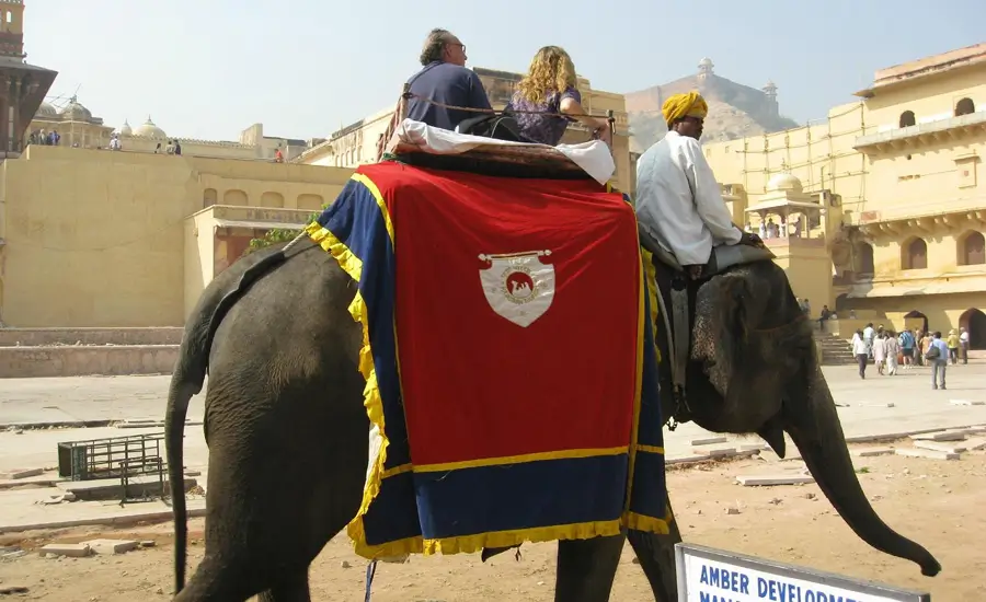 Small Group India Tour Golden Triangle with Tiger Safari Ranthambore