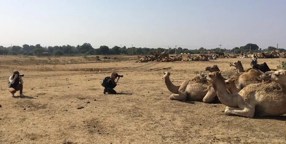 Golden Triangle Tour With Rural Experience – 6 Nights 7 Days Jaipur Village Agra Delhi