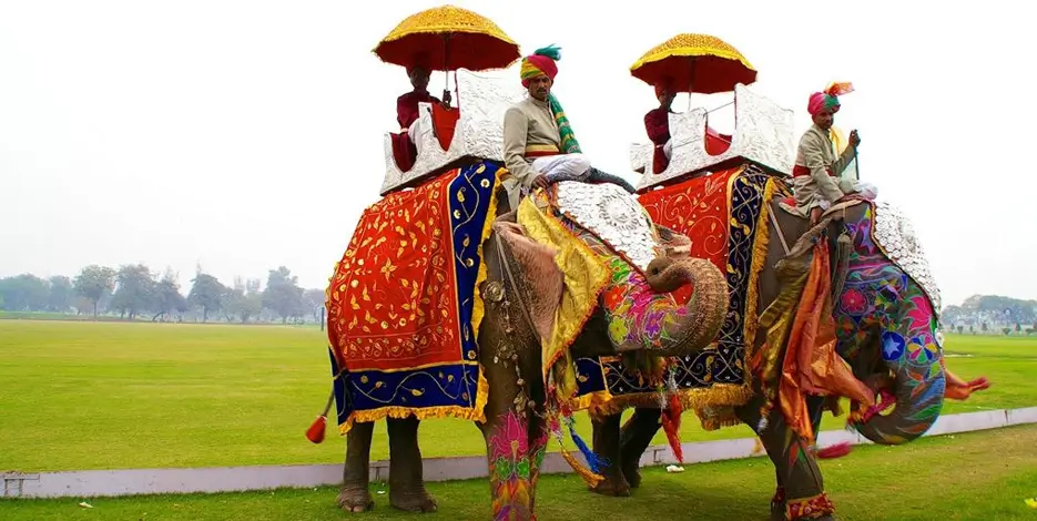 golden-triangle-elephant-festival-jaipur-tour