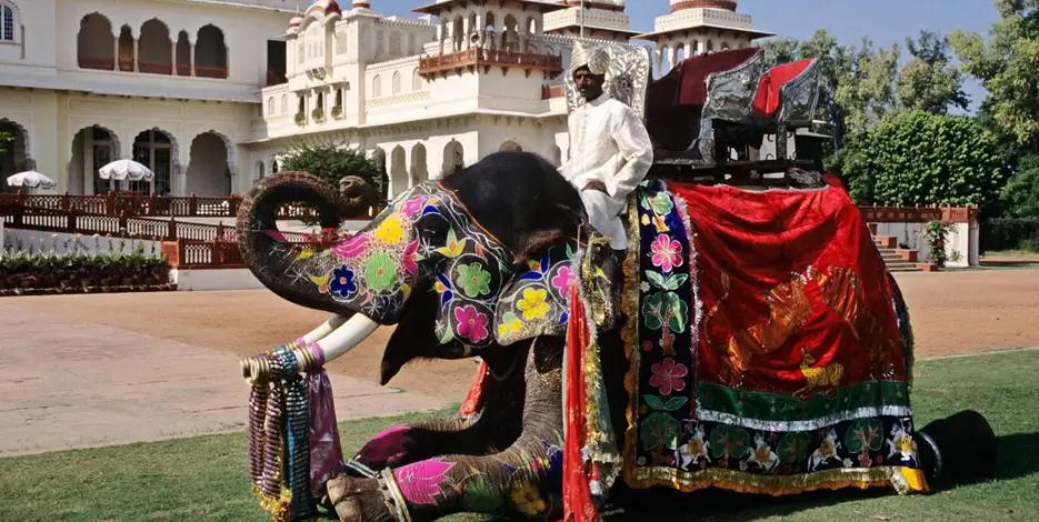 golden-triangle-elephant-festival-jaipur-tour