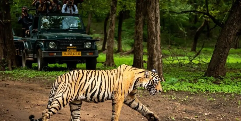 Golden Triangle Group Tour Package – 6 Nights 7 Days