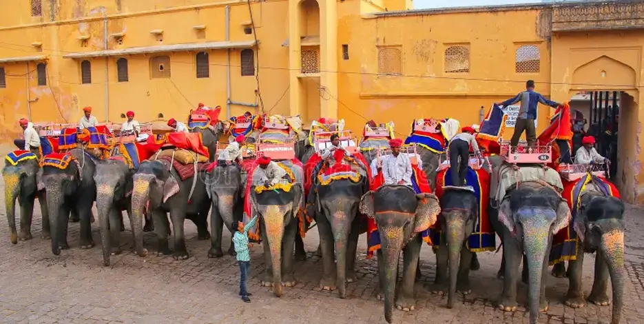 Golden Triangle Tour With Wellness and Yoga – 13 Nights 14 Days Spiritual & Cultural Journey