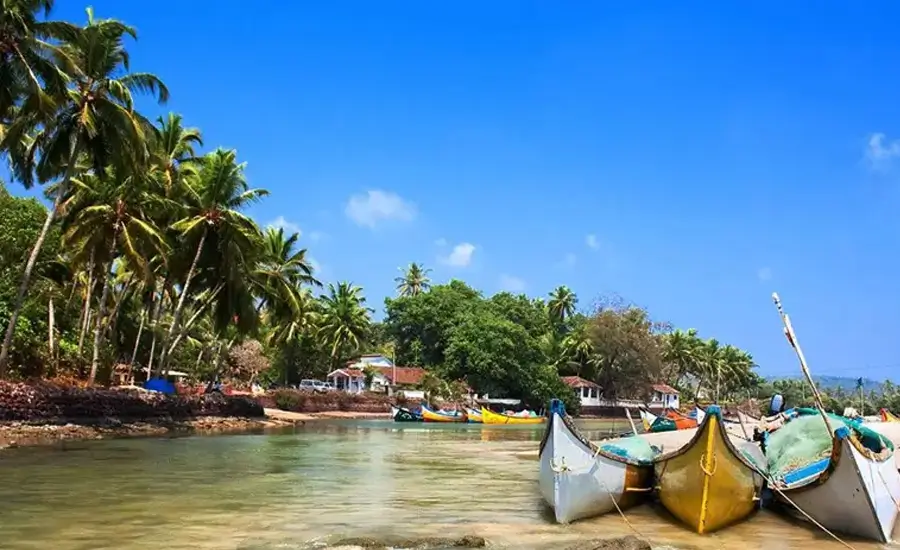 Comfortable India Tour Seniors Golden Triangle Kerala Ayurveda Retreat