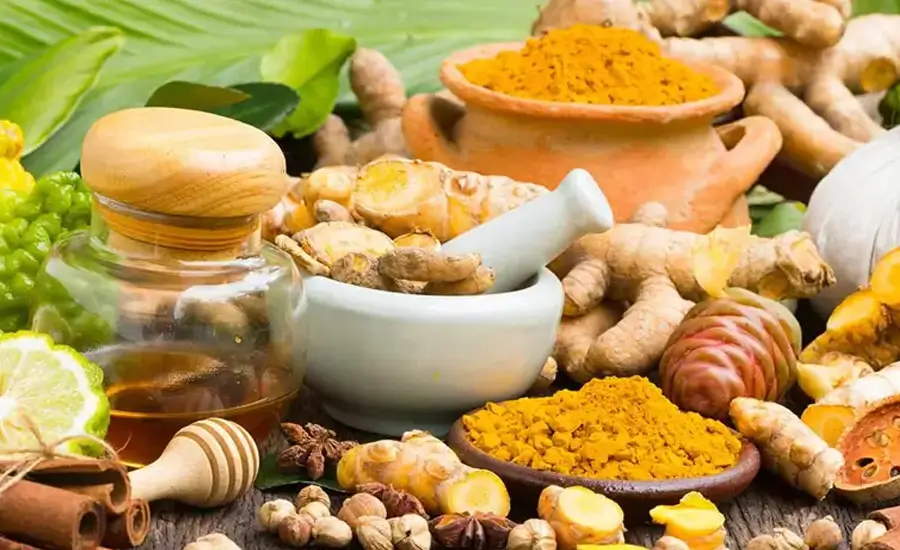 Comfortable India Tour Seniors Golden Triangle Kerala Ayurveda Retreat