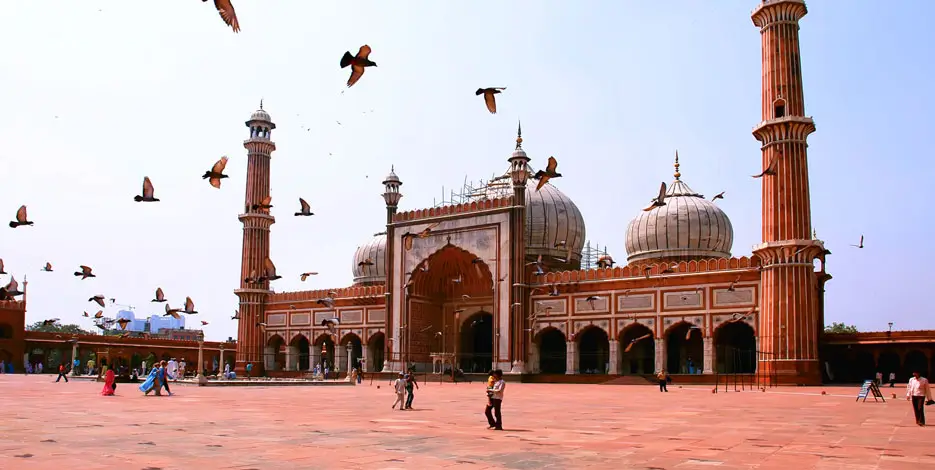 10-Day Responsible Rajasthan Community & Craft Tour