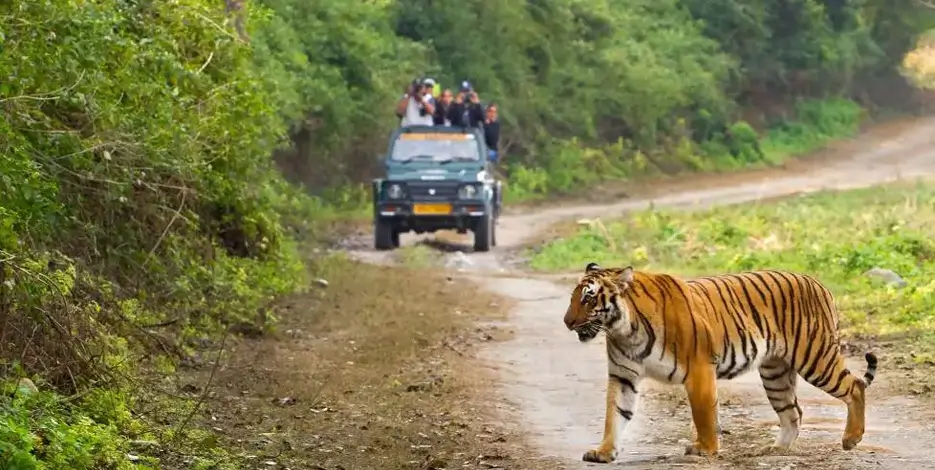 india-golden-triangle-jim-corbett-luxury-tour