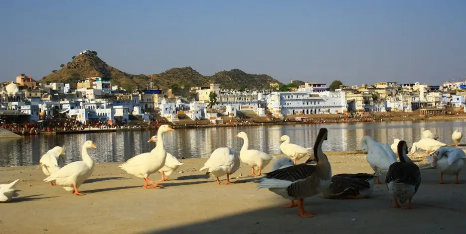 complete-rajasthan-golden-triangle-private-tour