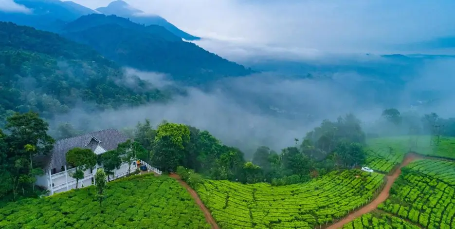 Golden Triangle Tour 14 Nights 15 Days – Delhi Agra Jaipur Kerala Backwaters & Munnar