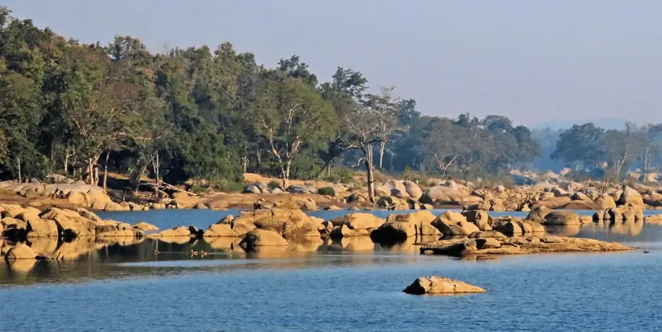golden-triangle-pench-national-park-tiger-safari-india