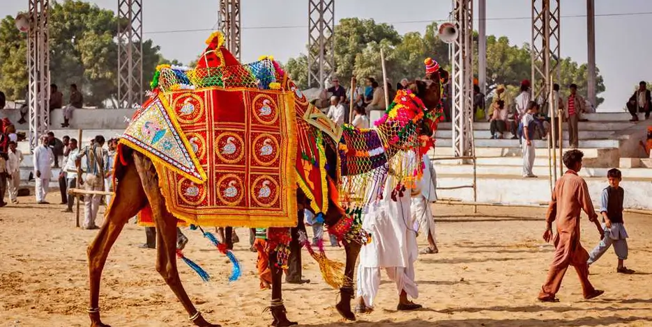 India Tour Package from Germany Golden Triangle Heritage and Wellness