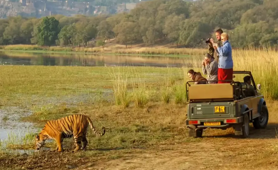 Ultra Luxury India Tour by Private Plane Golden Triangle Rajasthan