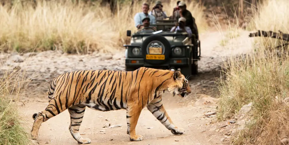 Golden Triangle Tour With Orchha Khajuraho Kanha – 9 Nights 10 Days Heritage & Wildlife Circuit