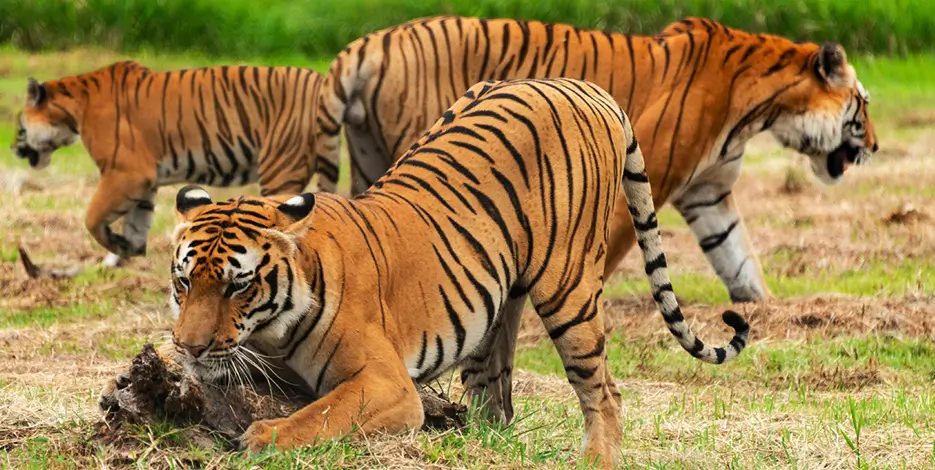 Golden Triangle India Teen Adventure and Heritage Tour
